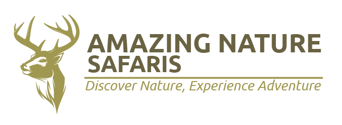 LOGO MAIN